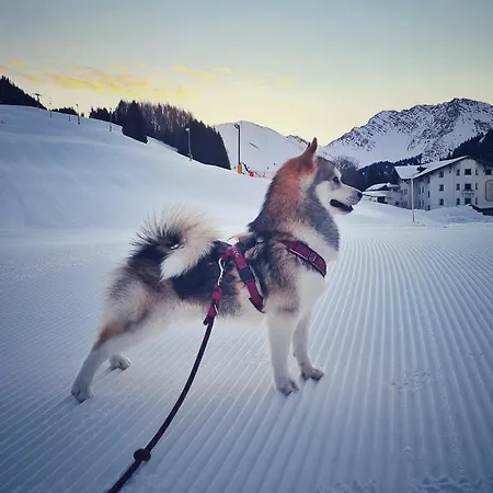 Egghof Daire Berwang