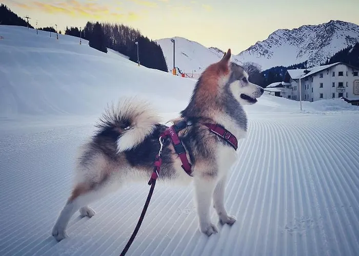 Egghof Apartamento Berwang