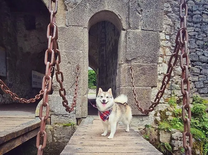 Egghof Apartamento *