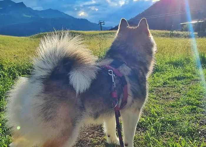 Apartamento Egghof *