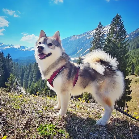 Egghof * Berwang