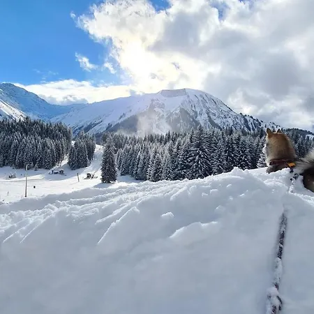 Egghof Berwang